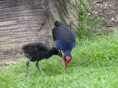 DSC_5146.jpg