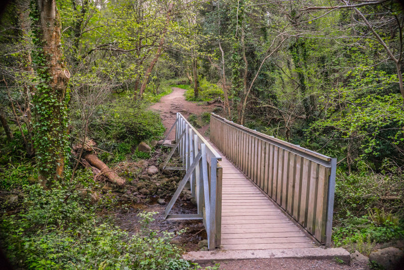Walking Bridge, Pedestrian Bridge, Knocksink Wood, Enniskerry Ireland