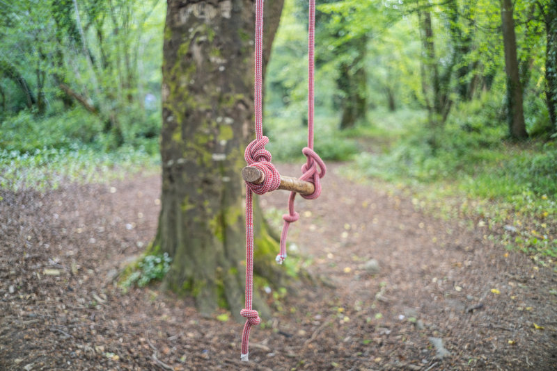 Swing, Knocksink Woods, Eniskerry, Ireland