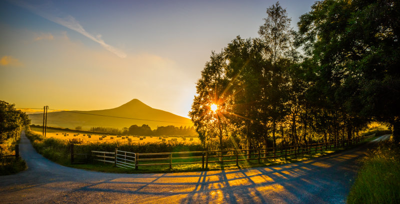 View of SUgarloaf Mountain Kindlestown Wood, Wicklow, Ireland