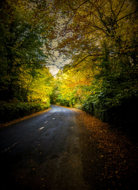 Covered road, Waterford, Ireland