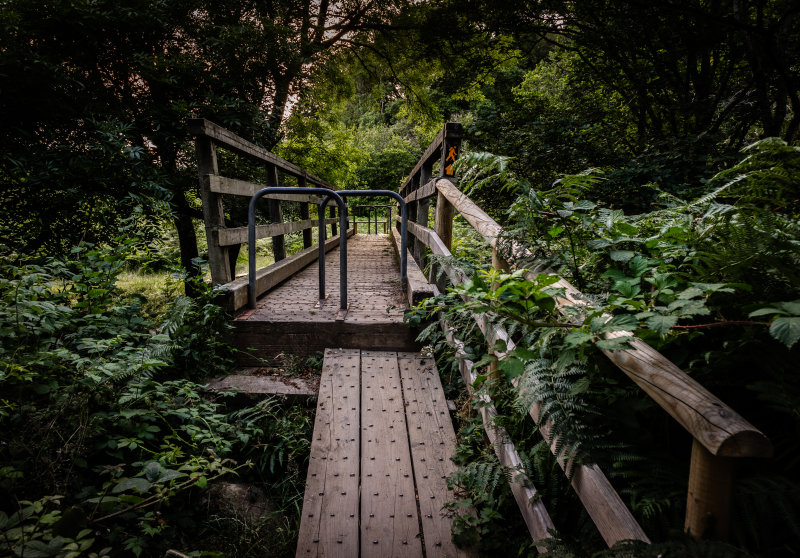 Wooden Walking Bridge, Lackandarragh, Ireland
