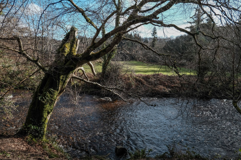 _DSF4097.jpg