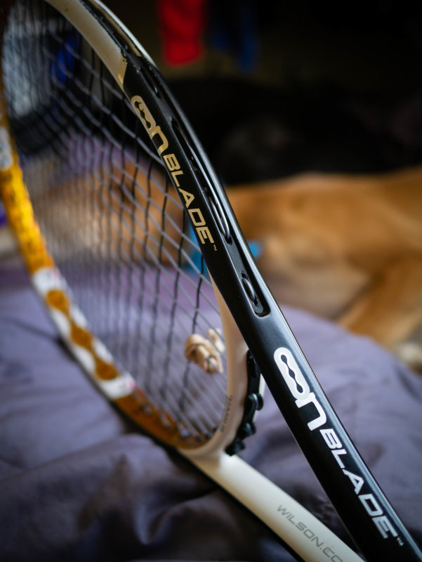 Babolat Pro Stock Pure Drive VS+ Competition 2019