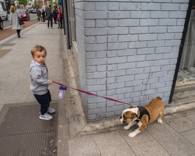 Boy with Bulldog, Bray, IRELAND