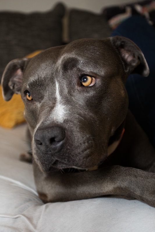 20191110_FDNLS_Harriet_Shoot01_151.jpg