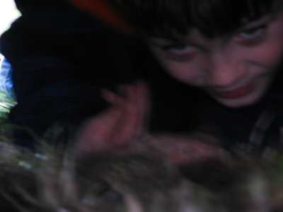 20191020_Logan_at_Roloff_Pumpkin_Patch_028.jpg