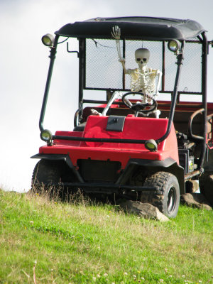 20191020_Logan_at_Roloff_Pumpkin_Patch_048.jpg