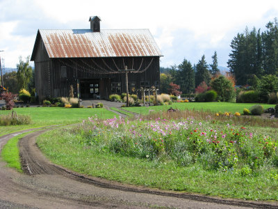 20191020_Logan_at_Roloff_Pumpkin_Patch_050.jpg