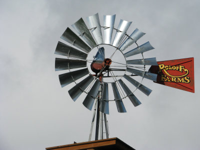 20191020_Logan_at_Roloff_Pumpkin_Patch_053.jpg