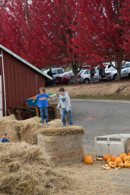 Logan Goes to Oregon Heritage Farm Orchard