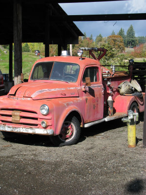 20191020_Logan_at_Roloff_Pumpkin_Patch_054.jpg