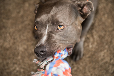 20191110_FDNLS_Harriet_Shoot01_002.jpg