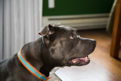 20191110_FDNLS_Harriet_Shoot01_008.jpg
