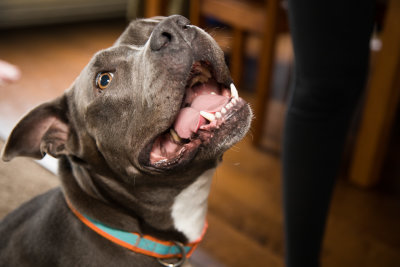 20191110_FDNLS_Harriet_Shoot01_011.jpg
