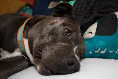 20191110_FDNLS_Harriet_Shoot01_135.jpg