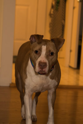 20200206_FDNLS_Chubbs_MnG_011.jpg