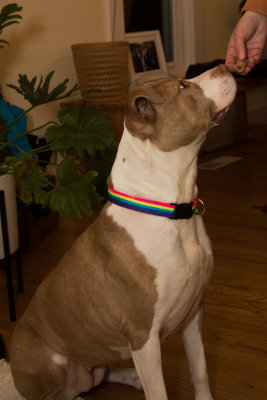 20200206_FDNLS_Chubbs_MnG_017.jpg