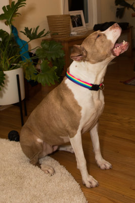 20200206_FDNLS_Chubbs_MnG_018.jpg