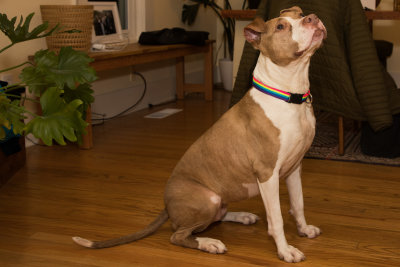 20200206_FDNLS_Chubbs_MnG_021.jpg