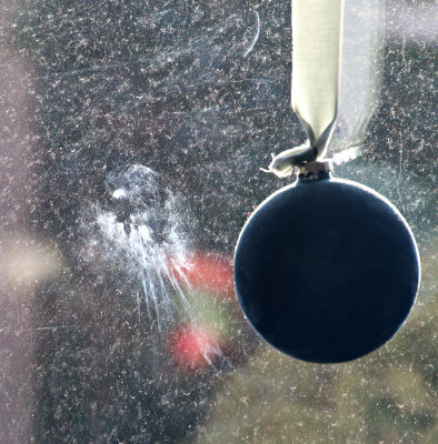 Bra med smutsiga fönster ibland. Man kan få en kontaktkopia av små fåglar i dammet!