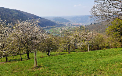 Utsikt frn Dilsberg ver Neckar-dalen, Tyskland