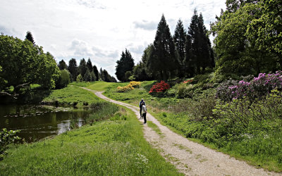 Utflykt m Planteringsvnnerna till Hrsholms Arboretum, norr om Kpenhamn