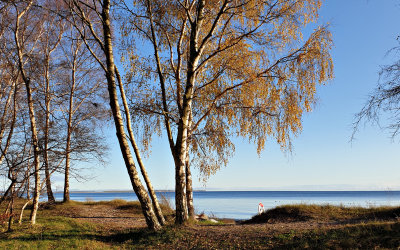 Det var en sådan där dag, luften kristallklar och havet stilla