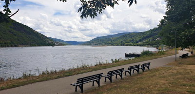Utsikt vid Rhen, nära Bacharach