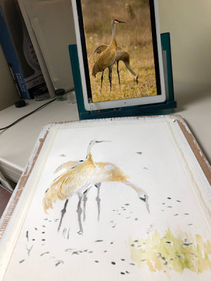 sandhill cranes in progress