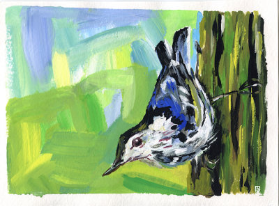 nuthatch in gouache