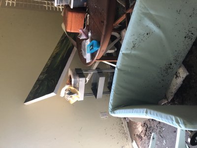 g12/22/364822/3/173041991.XCCeAPr1.jpg