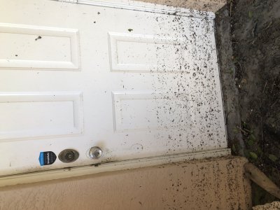 g12/22/364822/3/173041996.eB1rANlx.jpg
