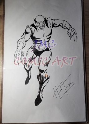 1.	“Wolverine’ – 11x17 - Herb Trimpe - Pencil/Ink …. 