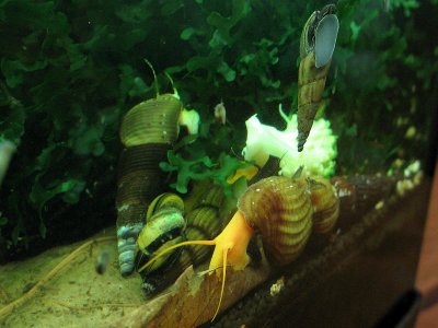IMG_6412s.jpg