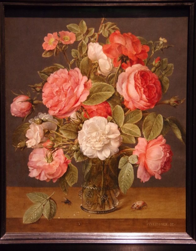 Still life 
