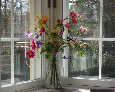 Flowers in a window ledge