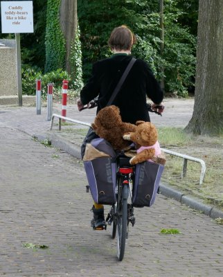 Two pre-loved bears