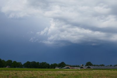 g12/22/530522/3/169395568.EpWojw2H.jpg