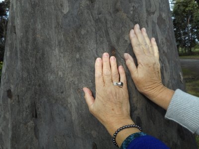 Wood