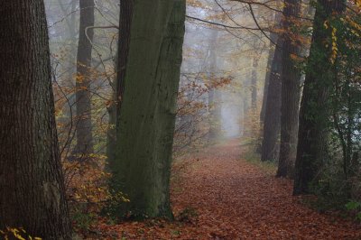 Path