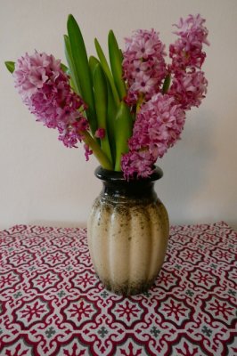 Hyacinth