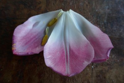 Three petals