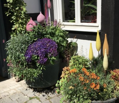 Summer colours