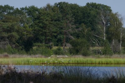 Pingo lake