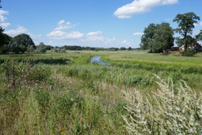 Meandering