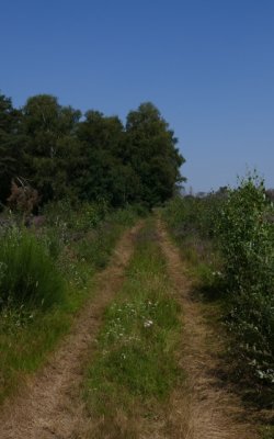 Path