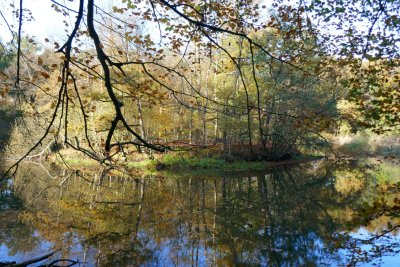 Little lake