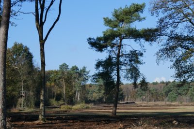 Restoring the old landscape