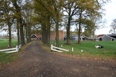 g12/22/530522/3/171230781.dkkiG9gn.jpg